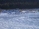 20050123170818-128.jpg