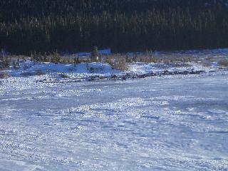 20050123170818-320.jpg