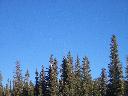 20050123171418-128.jpg