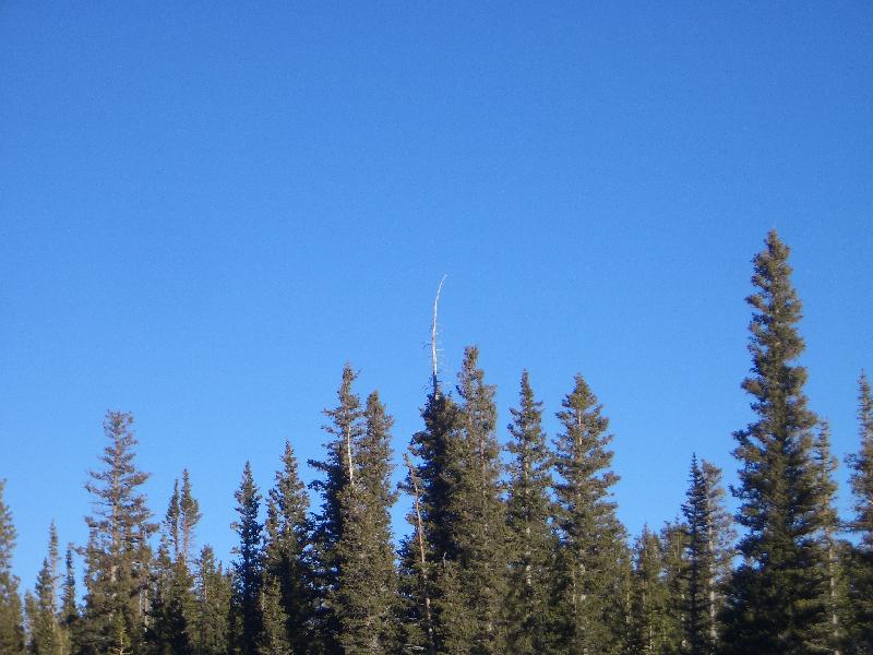 20050123171418-800.jpg