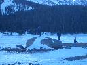 20050123172300-128.jpg