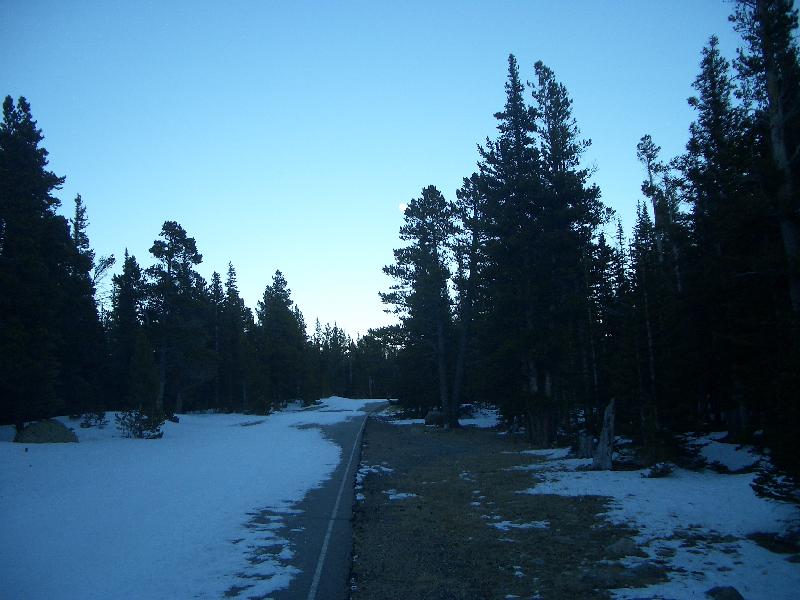 20050123175428-800.jpg