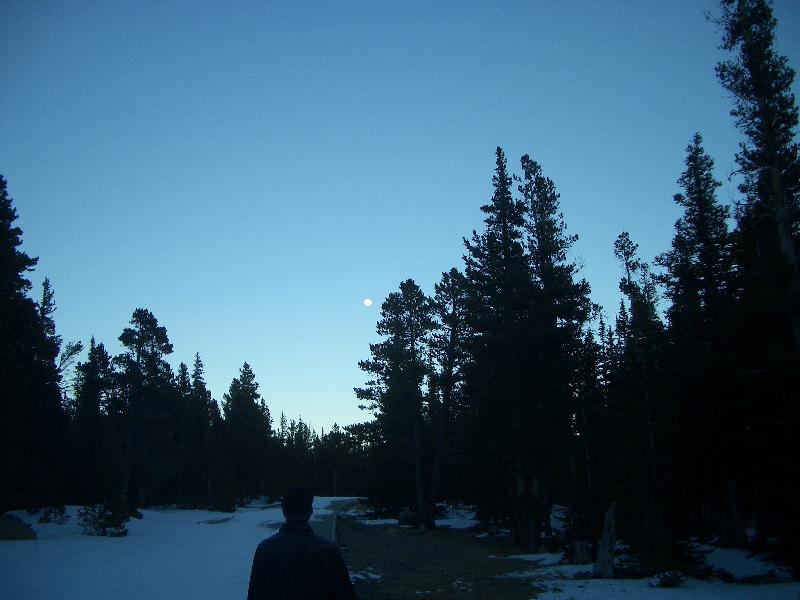 20050123175436-800.jpg