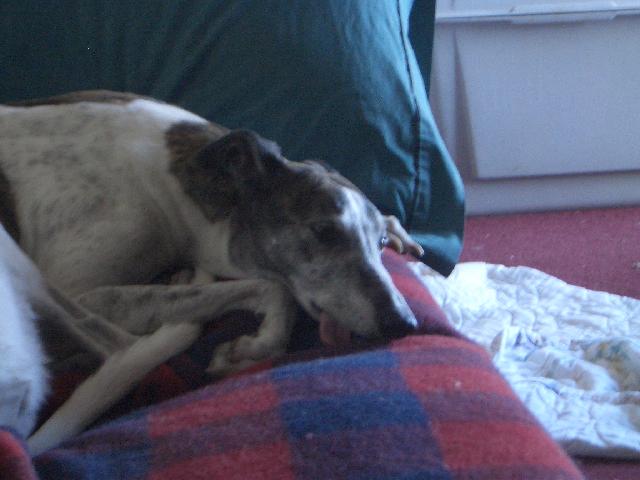 20050124145702-640.jpg