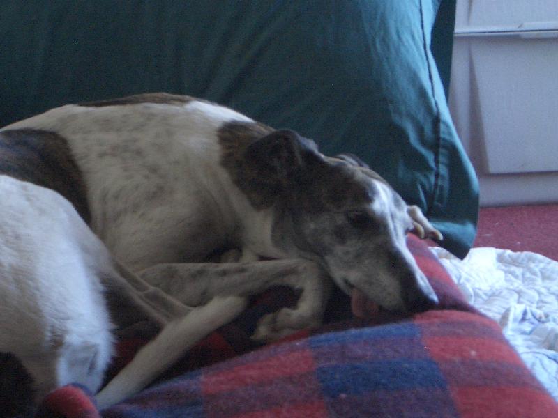 20050124145711-800.jpg