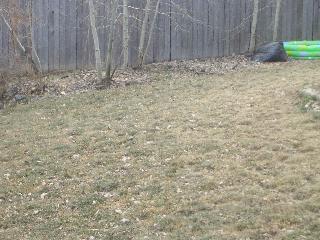 20050127164802-320.jpg