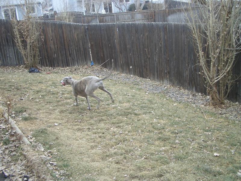 20050129125312-800.jpg