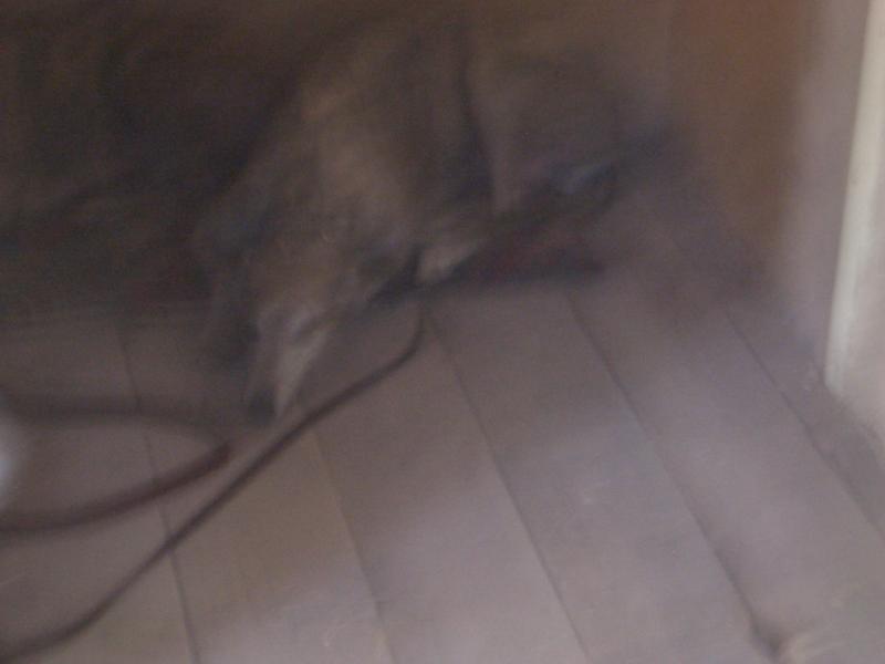 20050730162735-800.jpg