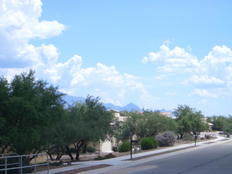 20050822142920-800.jpg