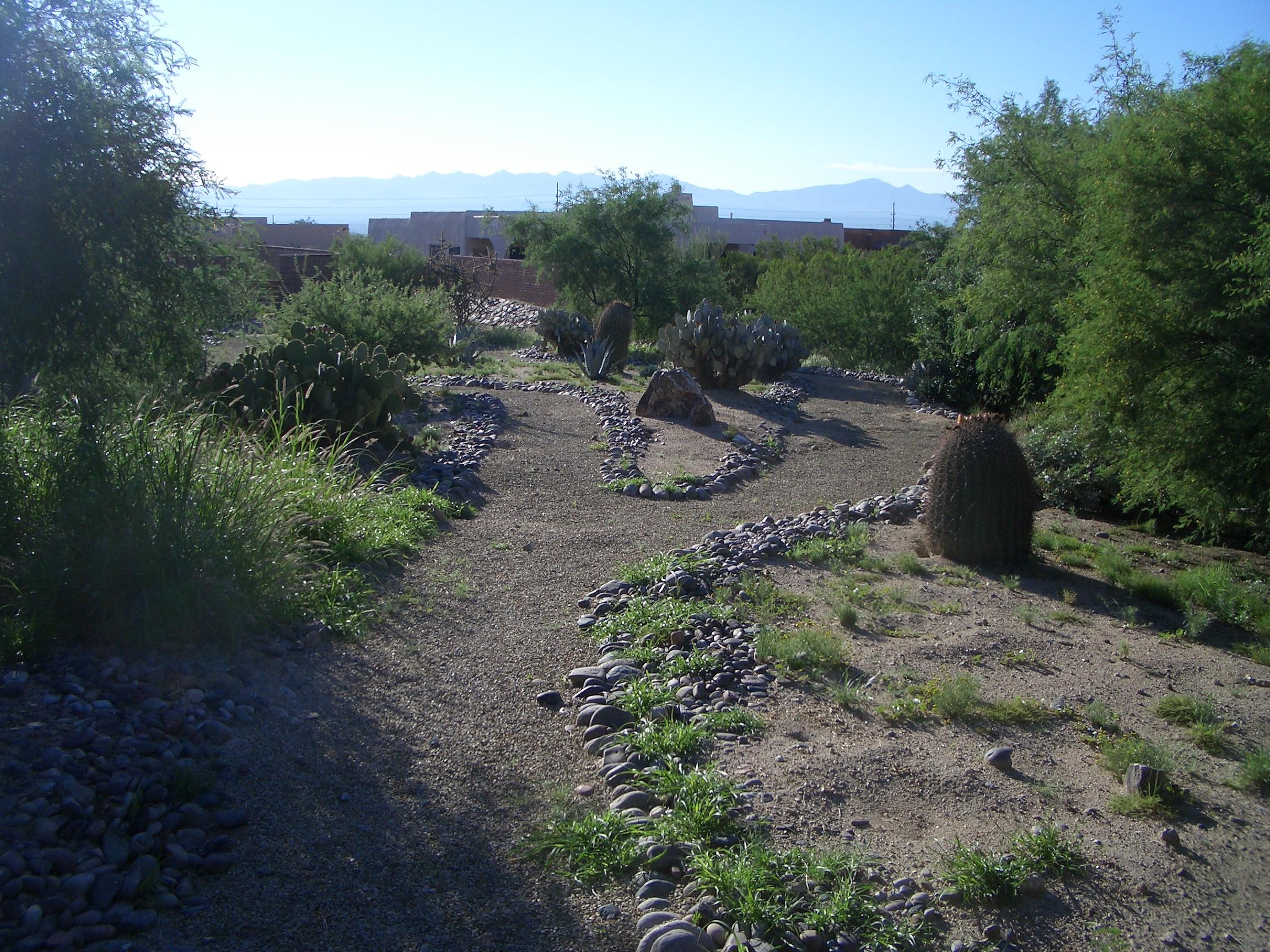 20050826084327.jpg