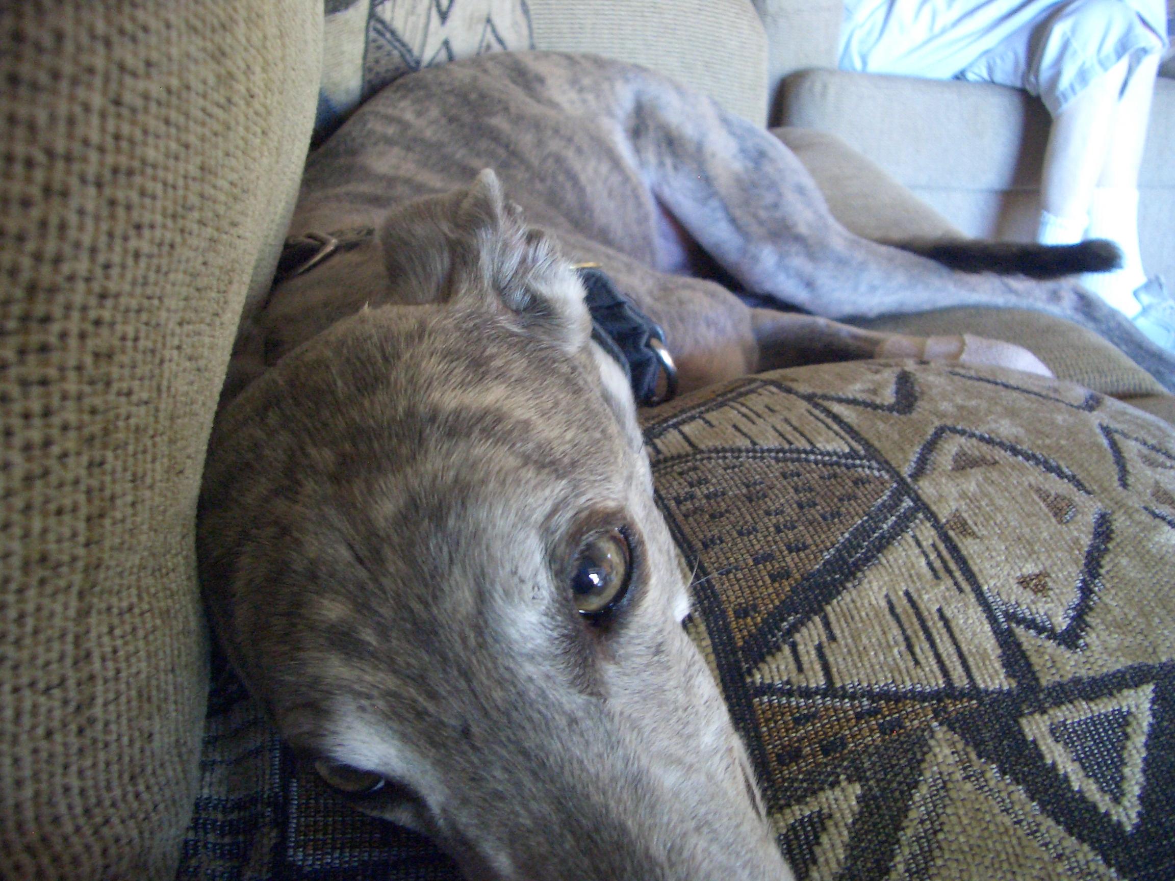 20050826185153.jpg