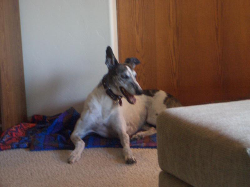 20050826185212-800.jpg