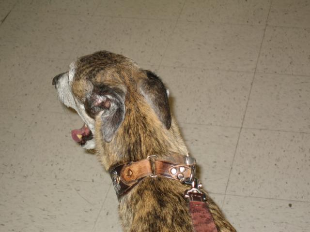 20051001130132-640.jpg