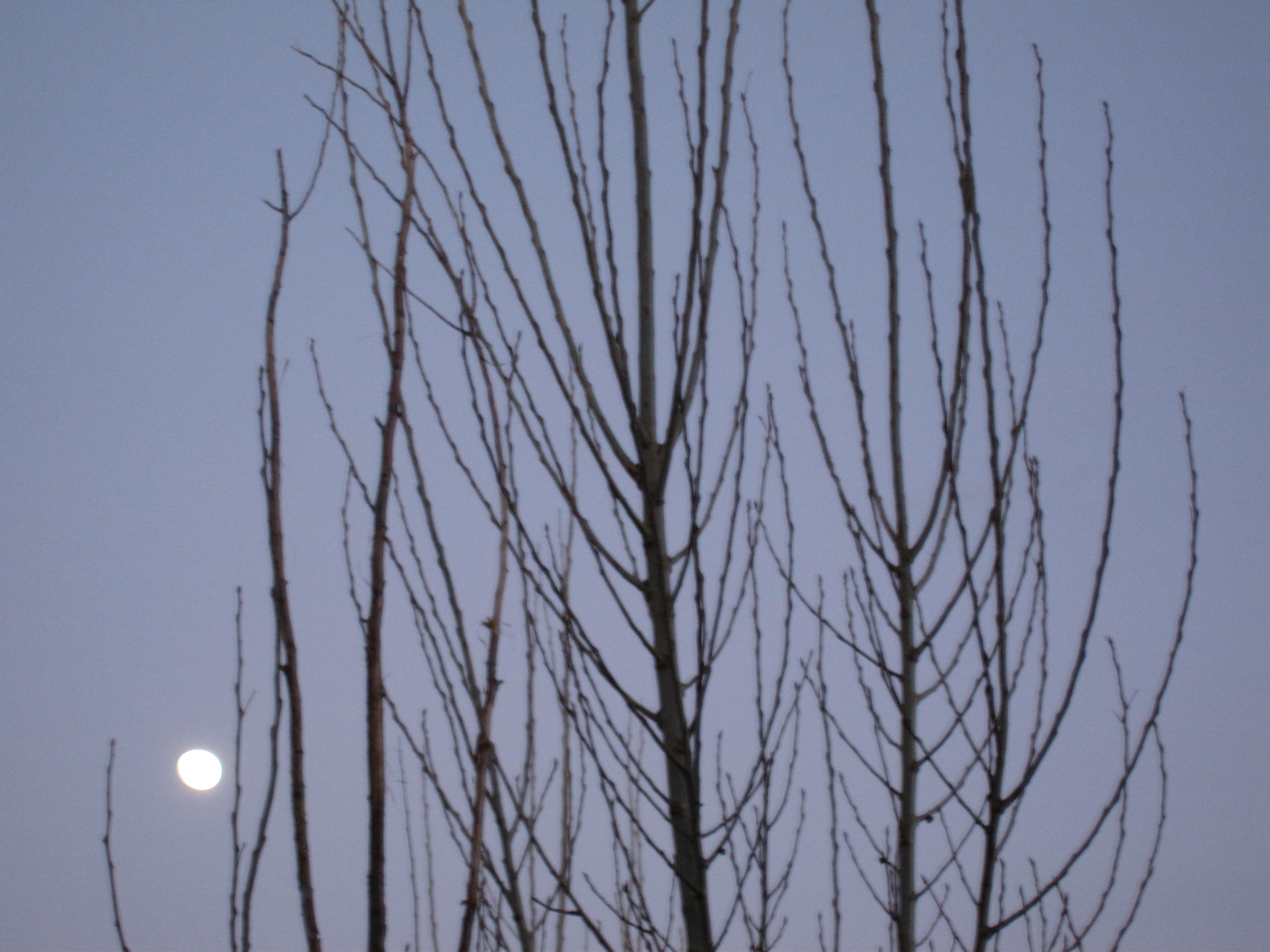20051213175155.jpg