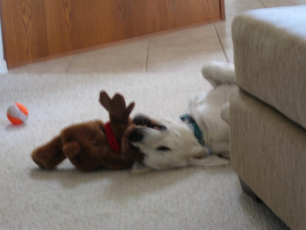 20051227132644-1024.jpg