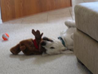 20051227132644-320.jpg