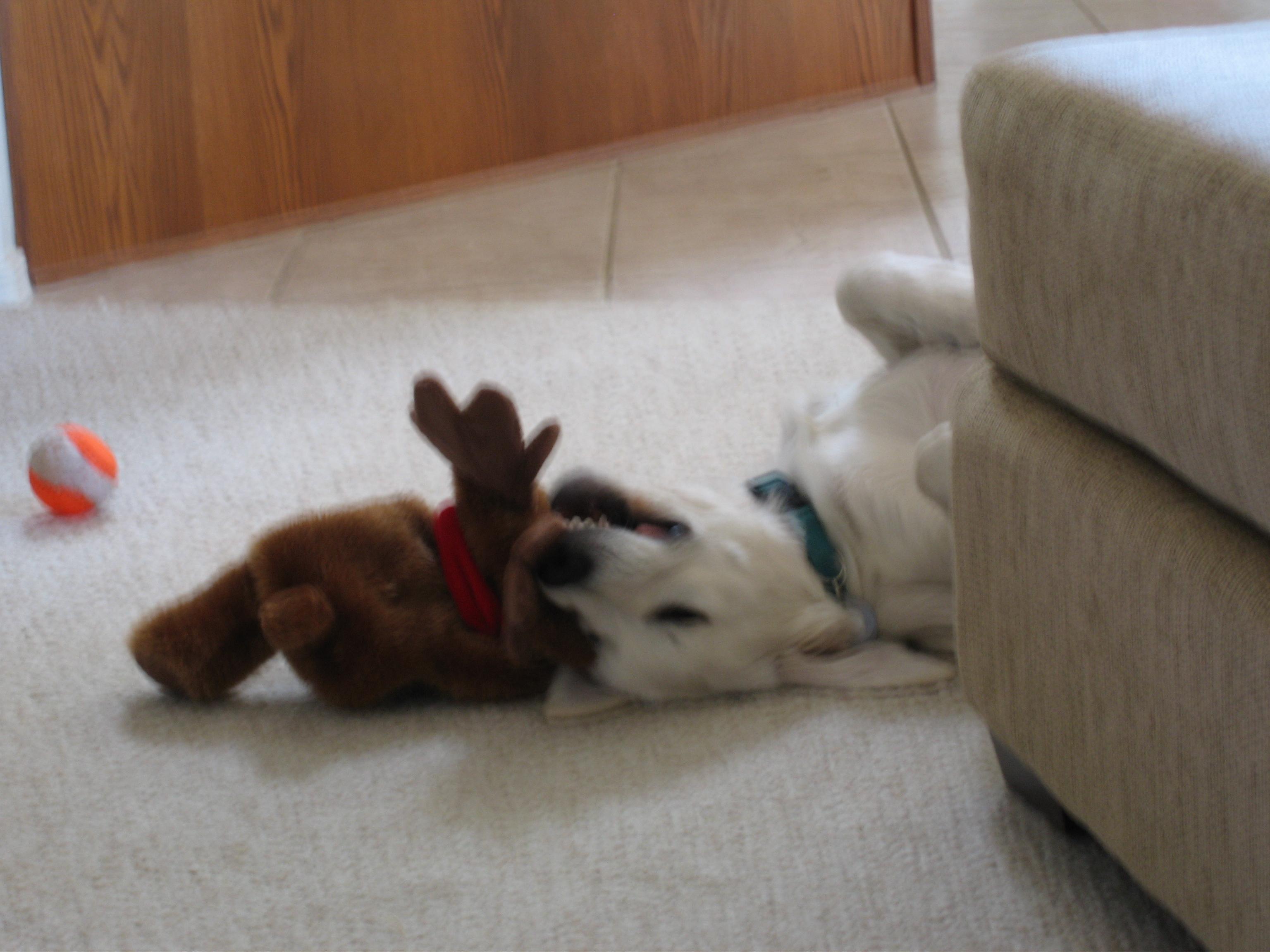 20051227132644.jpg