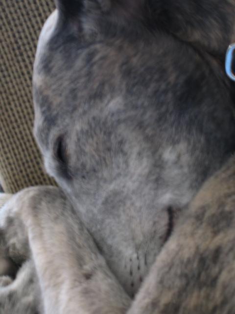 20051227132655-640.jpg