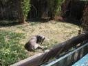 20060502095001-128.jpg