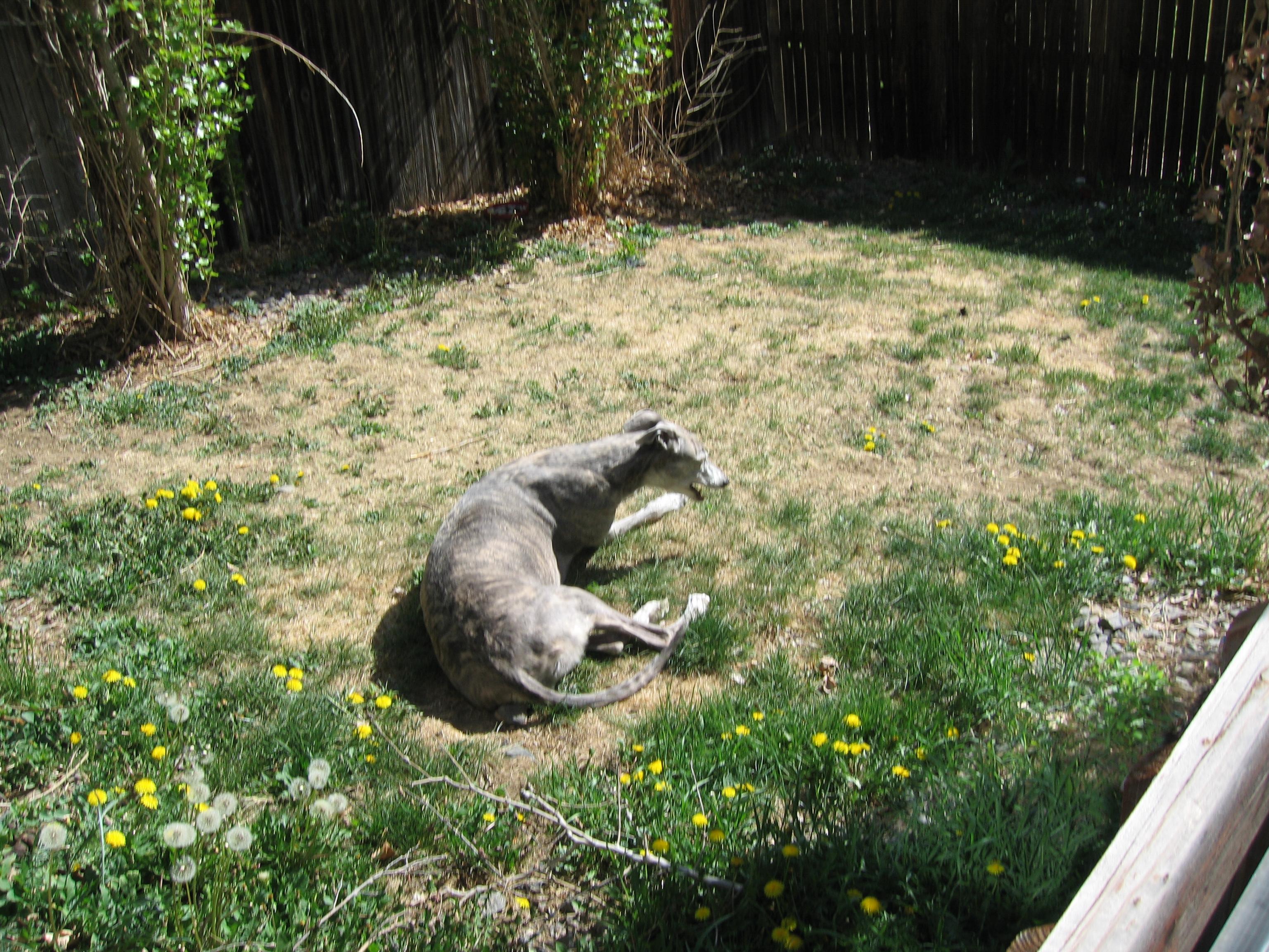 20060502095007.jpg