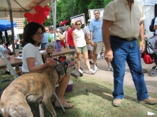 20060527161319-320.jpg