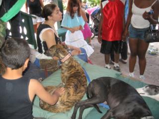 20060611133715-320.jpg