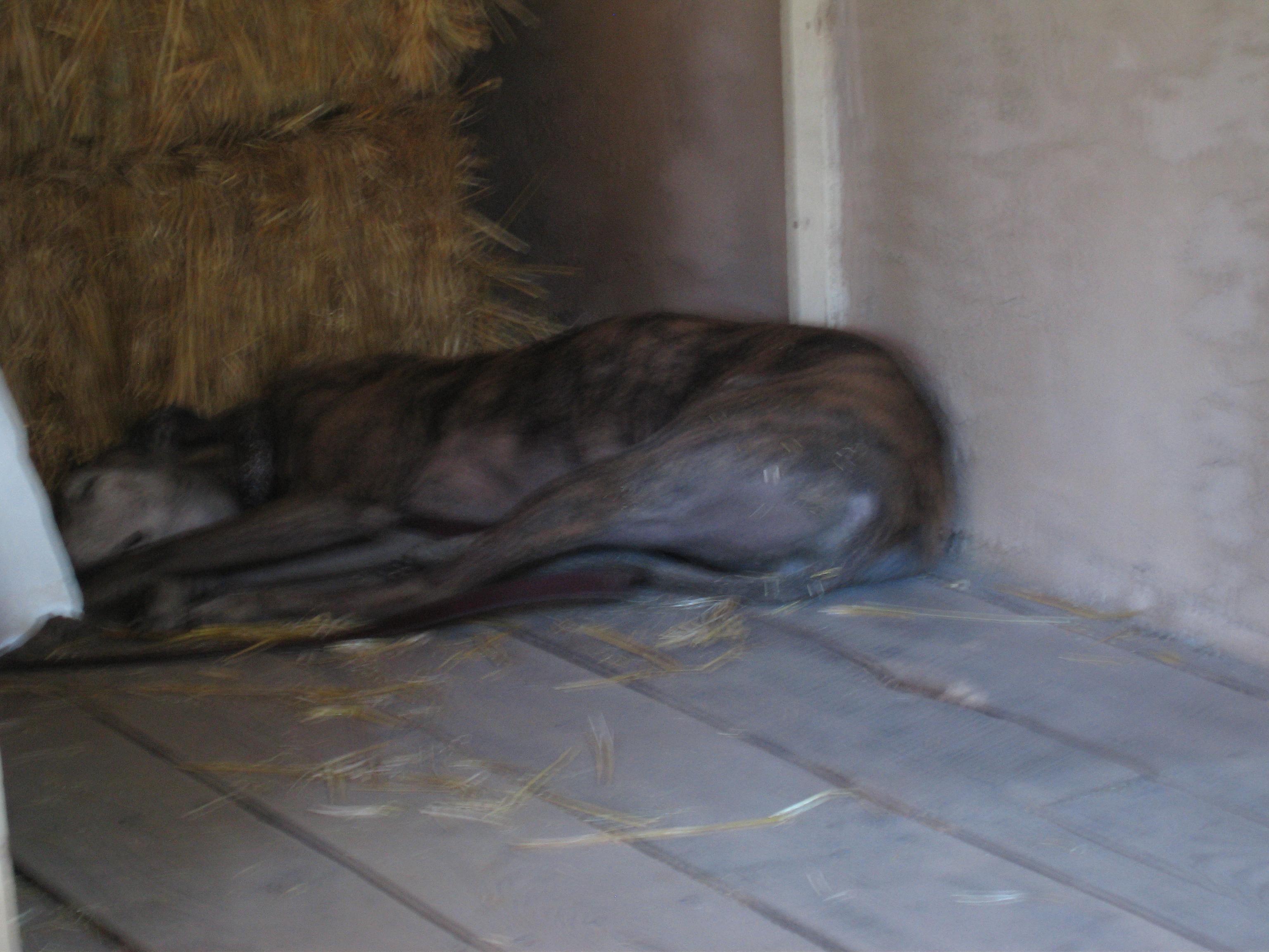 20060617155007.jpg