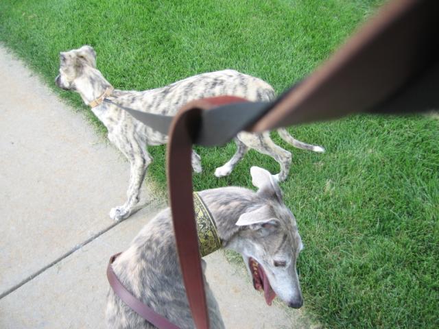 20060815160029-640.jpg