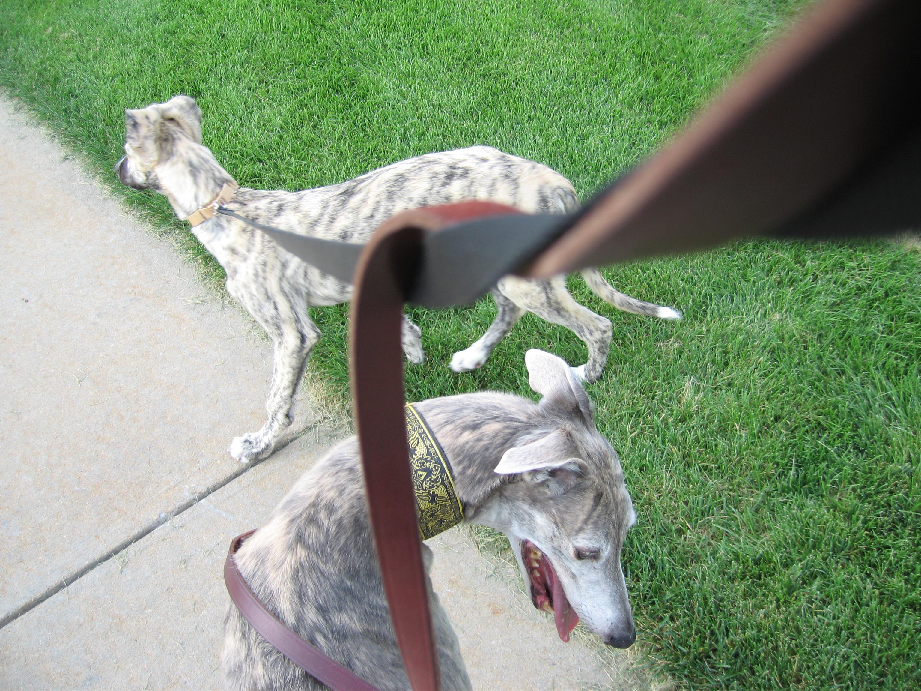 20060815160029.jpg