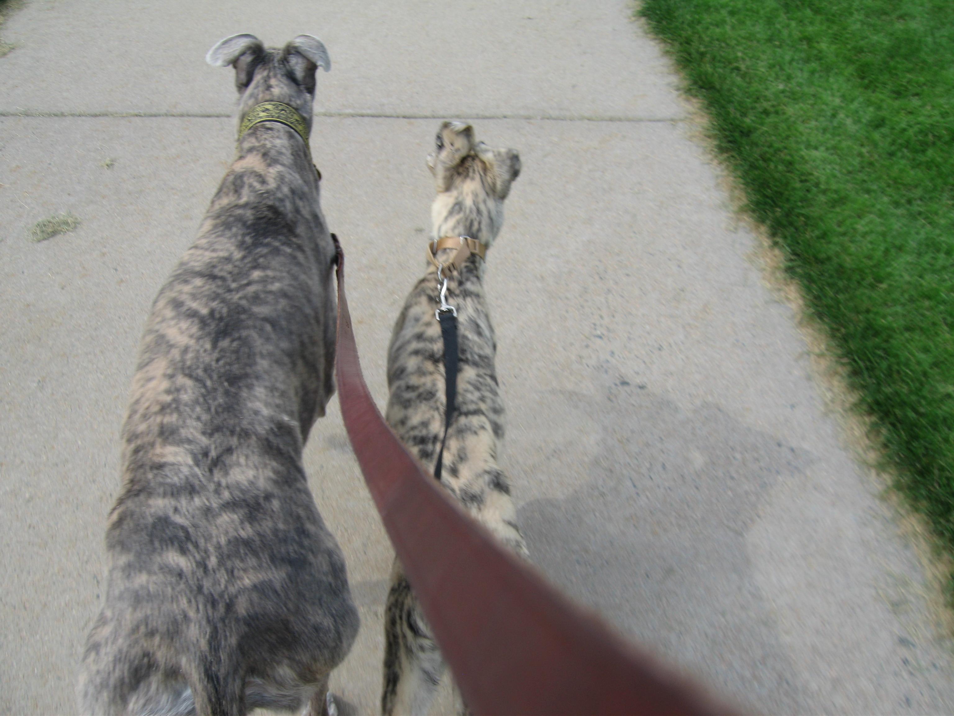 20060815160316.jpg