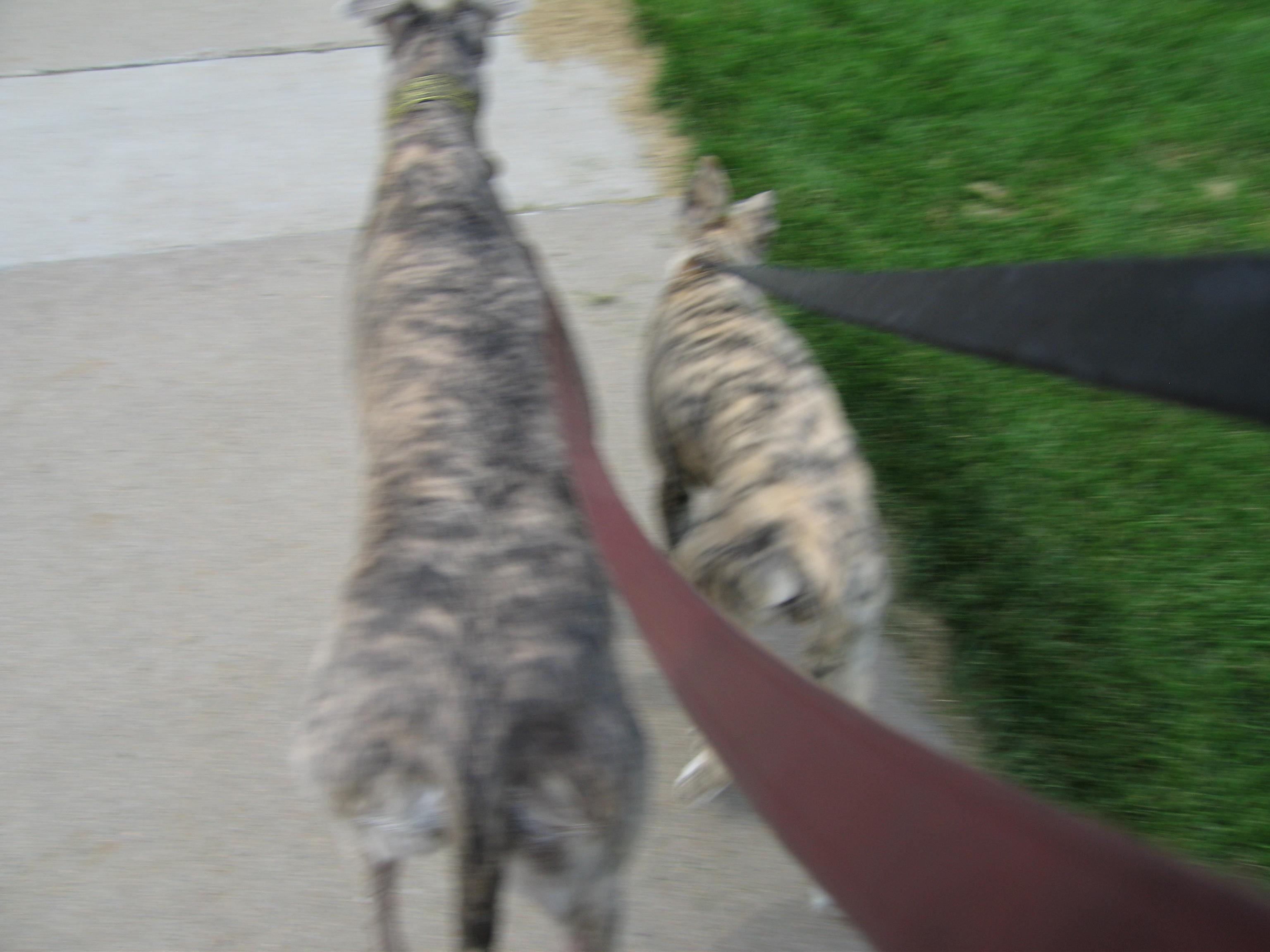 20060815160320.jpg
