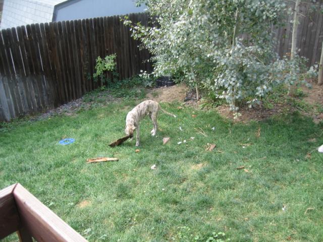 20060825094921-640.jpg