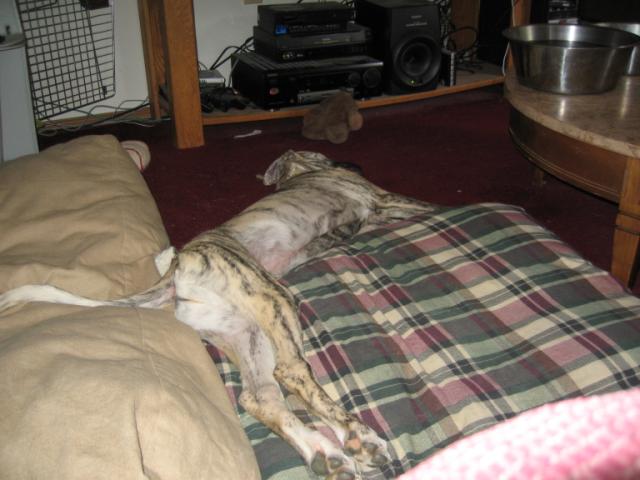 20060831123609-640.jpg