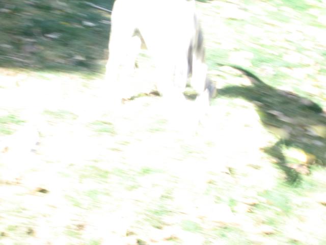 20061012150718-640.jpg