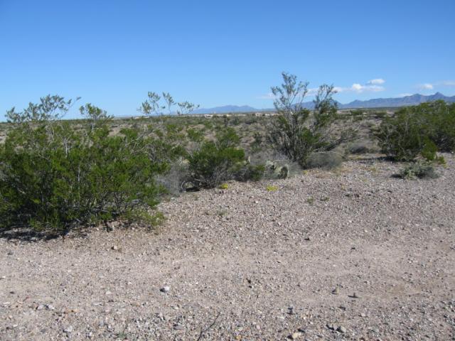 20061030104211-640.jpg