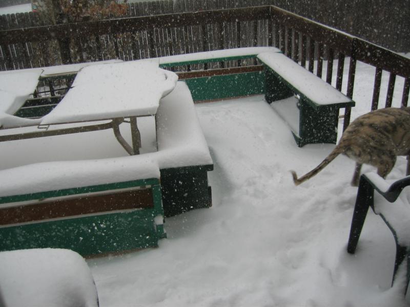 20061220113451-800.jpg