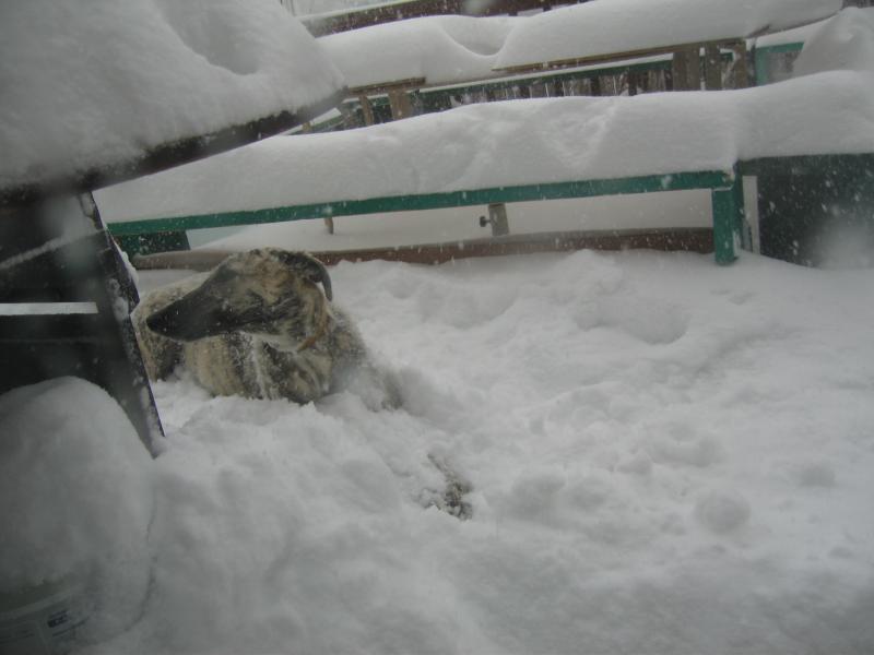 20061220141634-800.jpg