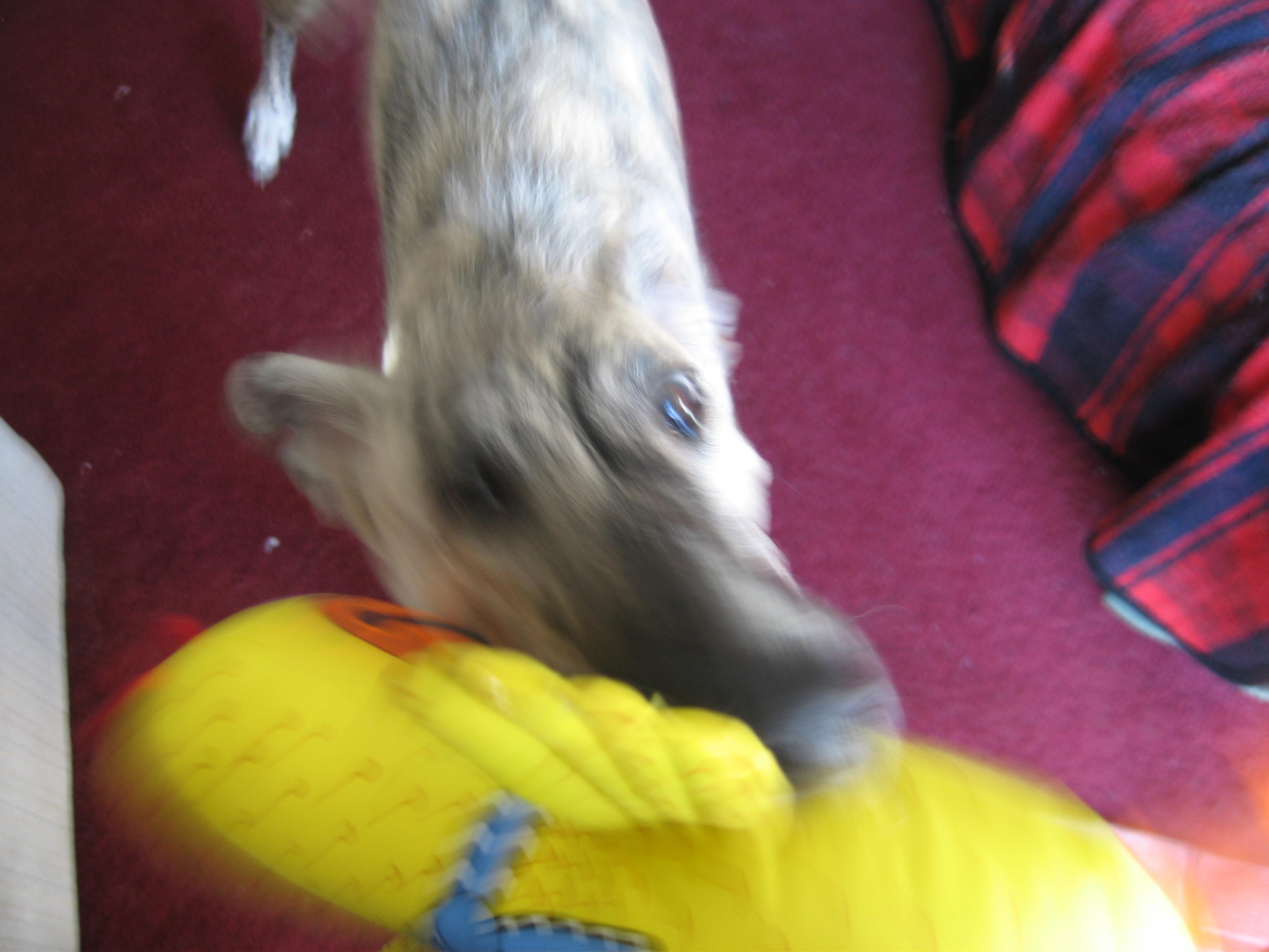 20061225111042.jpg