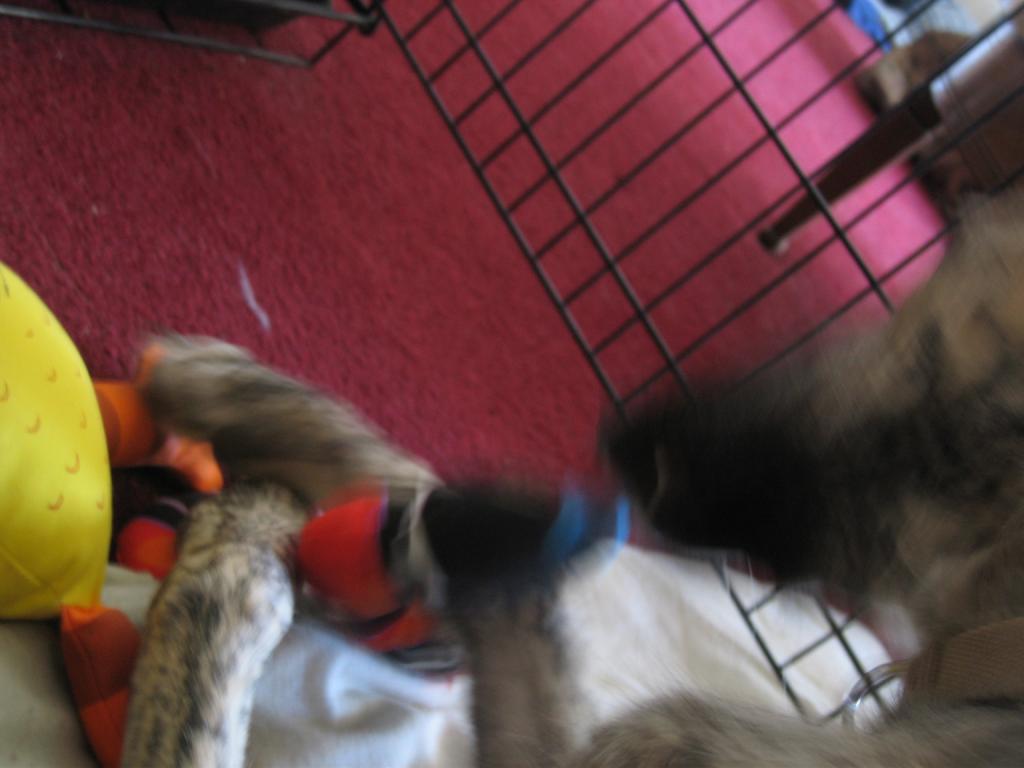 20061225113411-1024.jpg