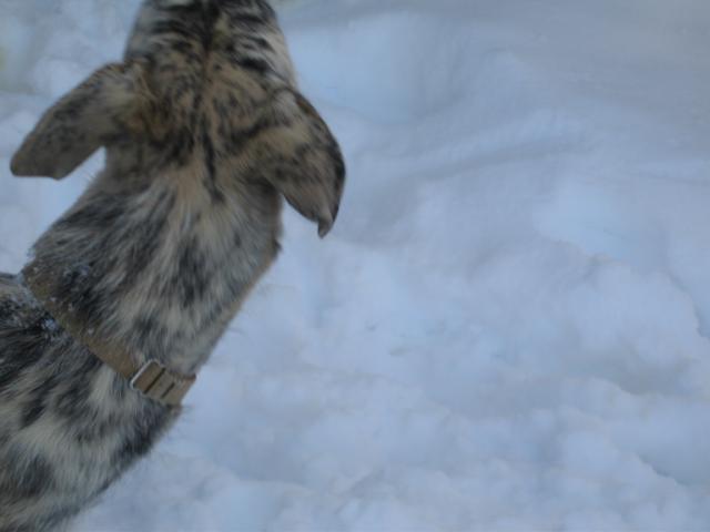 20061230163233-640.jpg