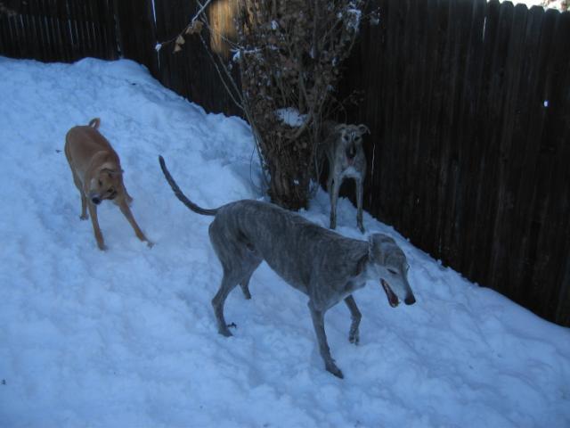 20061230163427-640.jpg