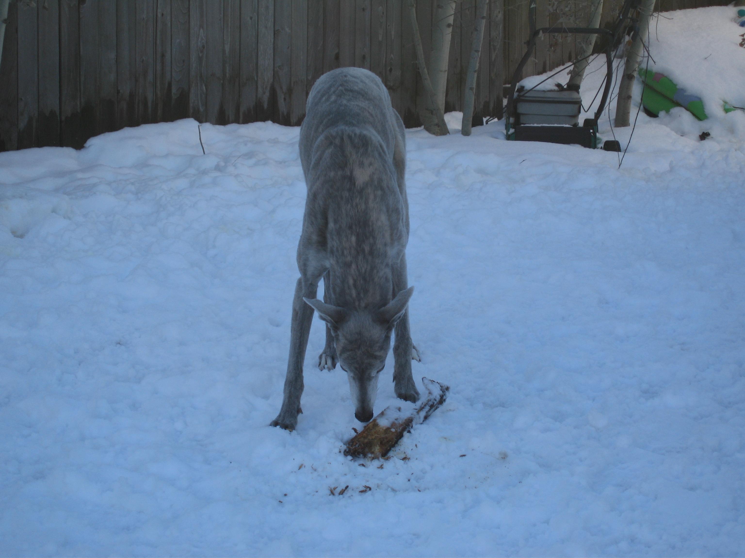 20070123162919.jpg