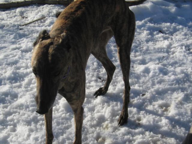 20070126155359-640.jpg