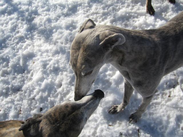 20070126155406-640.jpg