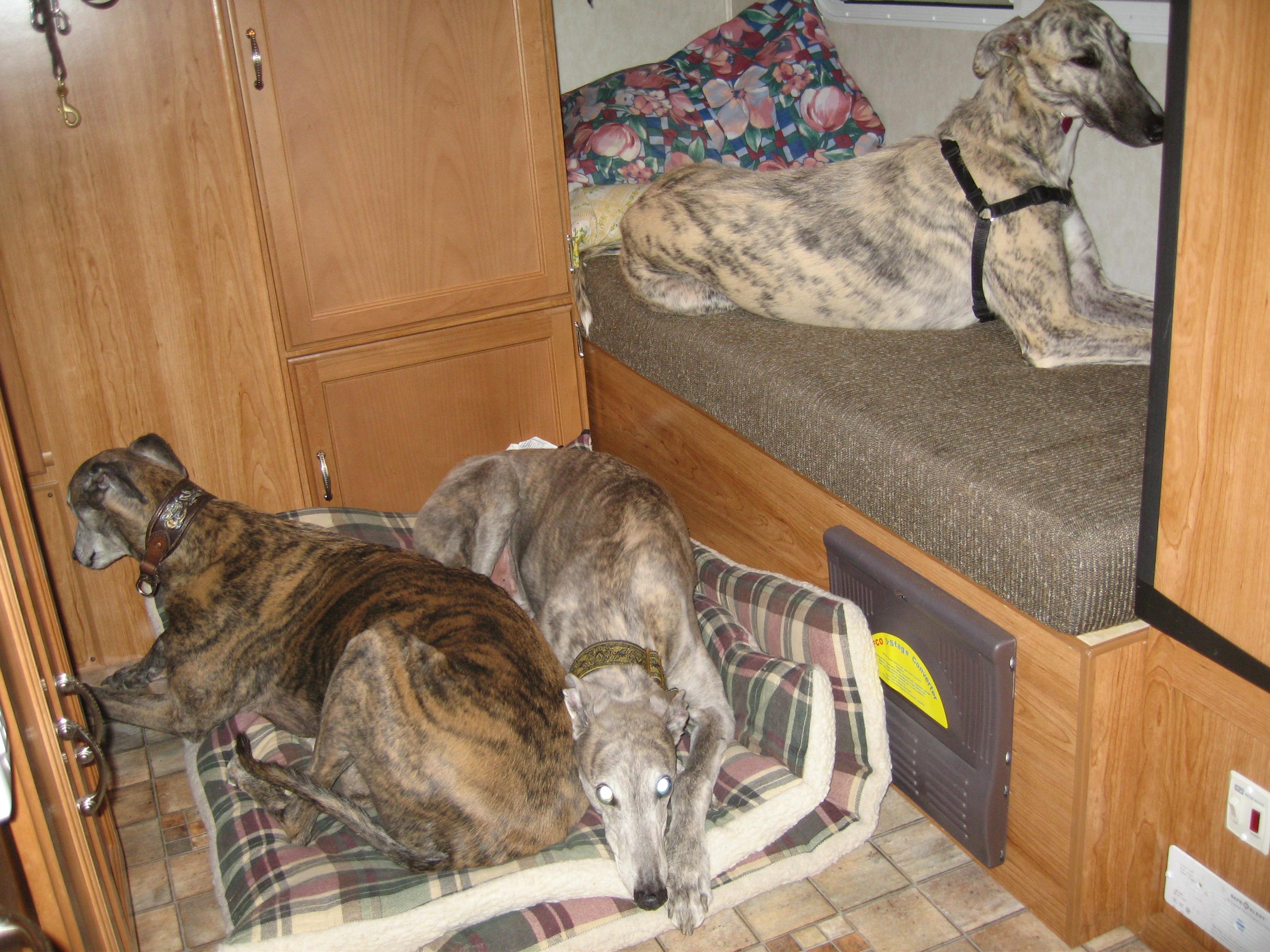 20070406171526.jpg