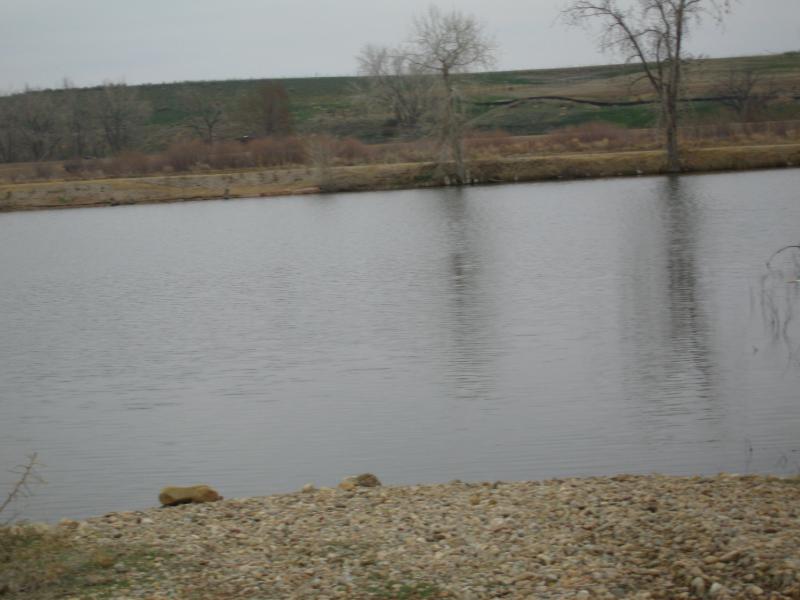 20070407151202-800.jpg